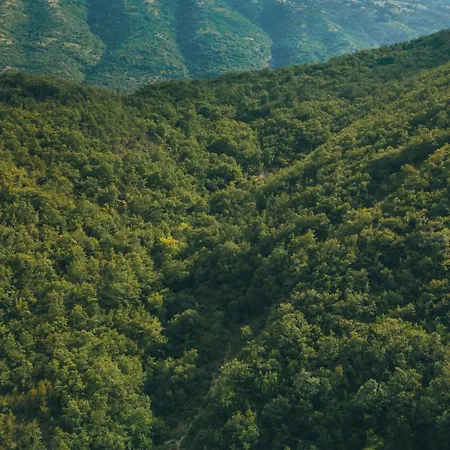 Traditional בית הארחה *