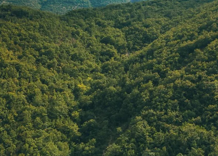 Traditional Pensión *